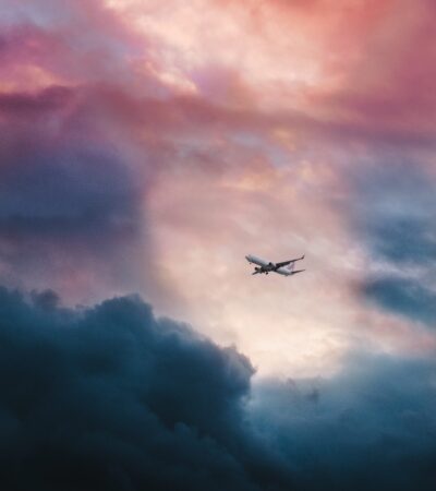 Comedians Pick Their Favorite TV Comedies Comedians Pick Their Favorite TV Comedies