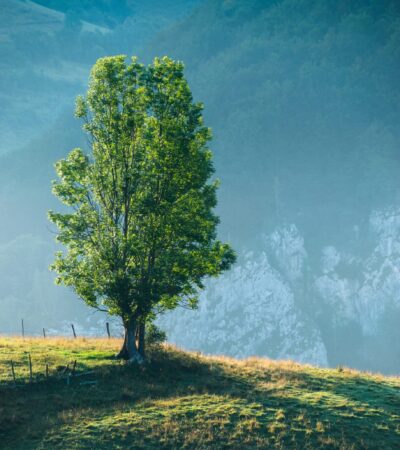 How to Promote Your Short Film on Youtube How to Promote Your Short Film on Youtube